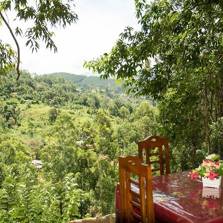 Rose Dale Homestay Элла Экстерьер фото